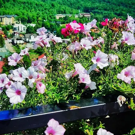 Ferienhaus Markowe Szczyrk