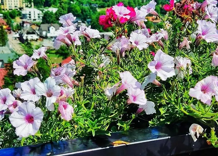 בית נופש Markowe שצ'צ'ירק